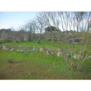 Click para ampliar. Pulsa en el nombre para ver la ficha. Paredes de