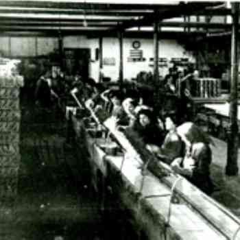 Click para ampliar. Pulsa en el nombre para ver la ficha. empacando sardinas