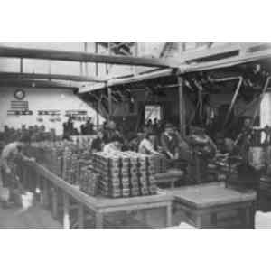 Click para ampliar. Pulsa en el nombre para ver la ficha. cerrando latas