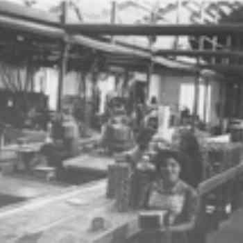 Click para ampliar. Pulsa en el nombre para ver la ficha. faenando