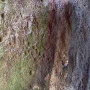 Click para ampliar. Pulsa en el nombre para ver la ficha. Cueva de la Santa Cruz, cazoletas 5-Soria