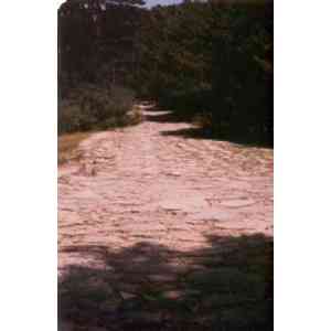 Click para ampliar. Pulsa en el nombre para ver la ficha. Calzada Romana de Cerdedilla