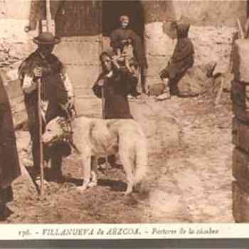 Click para ampliar. Pulsa en el nombre para ver la ficha. VILLANUEVA DE AEZCOA