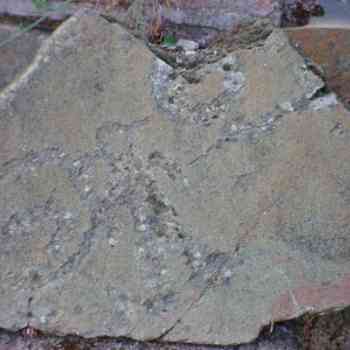 Click para ampliar. Pulsa en el nombre para ver la ficha. Estela de Guerrero con escudo