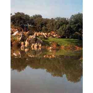 Click para ampliar. Pulsa en el nombre para ver la ficha. olalla de cala