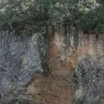 Click para ampliar. Pulsa en el nombre para ver la ficha. Dolina en la trinchera (Atapuerca)