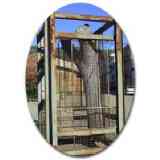 Click para ampliar. Pulsa en el nombre para ver la ficha. Villanueva de la Sierra 4: monumento al árbol