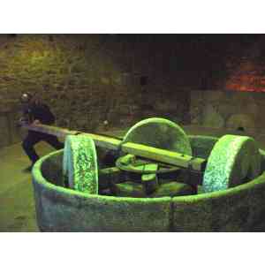 Click para ampliar. Pulsa en el nombre para ver la ficha. Mola olearia romana