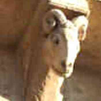 Click para ampliar. Pulsa en el nombre para ver la ficha. canecillo