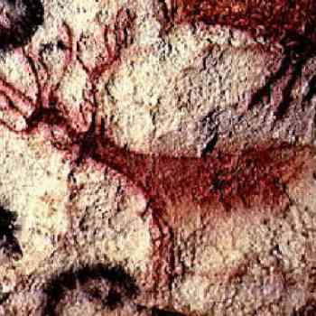 Click para ampliar. Pulsa en el nombre para ver la ficha. Ciervo