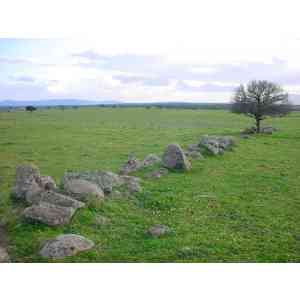 Click para ampliar. Pulsa en el nombre para ver la ficha. Paredes de