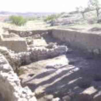 Click para ampliar. Pulsa en el nombre para ver la ficha. Libisosa