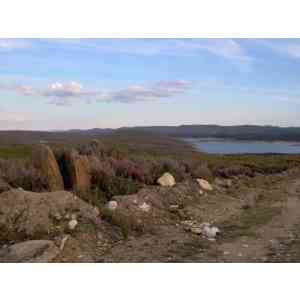 Click para ampliar. Pulsa en el nombre para ver la ficha. Urces y Castros