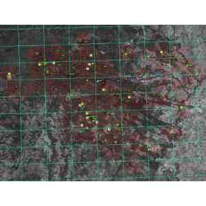 Click para ampliar. Pulsa en el nombre para ver la ficha. Por donde Andará Magarzo