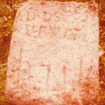 Click para ampliar. Pulsa en el nombre para ver la ficha. Inscripción de Los Barruecos