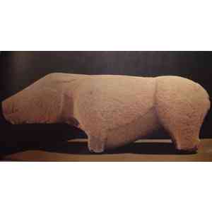 Click para ampliar. Pulsa en el nombre para ver la ficha. Verraco de Madrigalejo