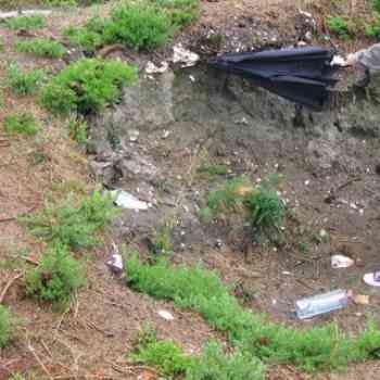 Click para ampliar. Pulsa en el nombre para ver la ficha. Mourela2