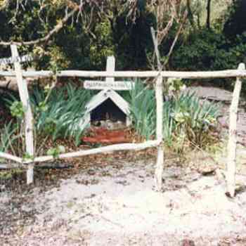 Click para ampliar. Pulsa en el nombre para ver la ficha. Animita de Agustín-Chile.