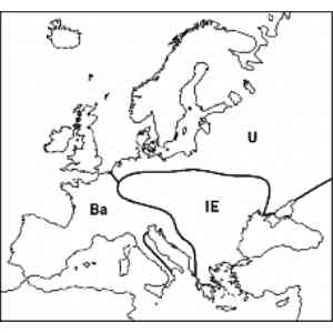 Click para ampliar. Pulsa en el nombre para ver la ficha. MAPA 2
