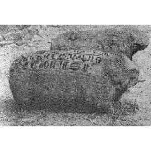 Click para ampliar. Pulsa en el nombre para ver la ficha. El oso y el jabalí