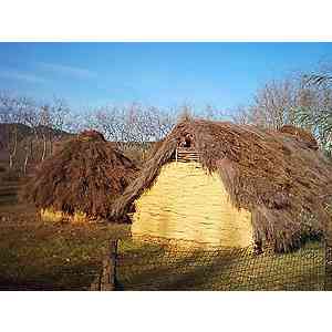 Click para ampliar. Pulsa en el nombre para ver la ficha. Poblado de La Draga. Banyoles (Girona)