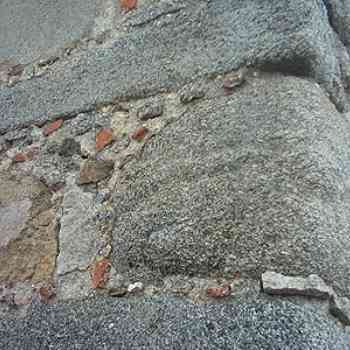 Click para ampliar. Pulsa en el nombre para ver la ficha. Mingorría. Cuartos traseros