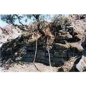 Click para ampliar. Pulsa en el nombre para ver la ficha. Paramento Tamusia