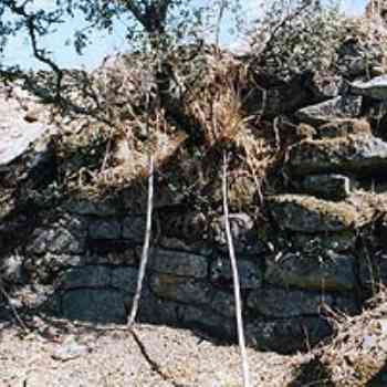 Click para ampliar. Pulsa en el nombre para ver la ficha. Paramento Tamusia