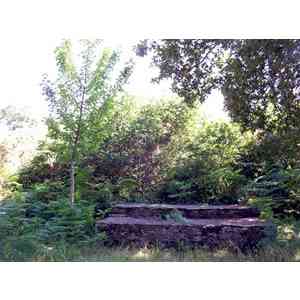 Click para ampliar. Pulsa en el nombre para ver la ficha. Ermita de San Vitorio