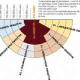 Click para ampliar. Antigüedad genotipos de caballos (de H.Oelke)