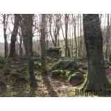 Click para ampliar. Pulsa en el nombre para ver la ficha. Dolmen de Aitzetako txabala