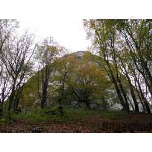 Click para ampliar. Pulsa en el nombre para ver la ficha. Gazteluberri