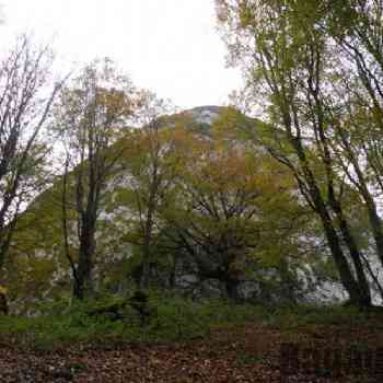 Click para ampliar. Pulsa en el nombre para ver la ficha. Gazteluberri