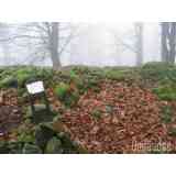 Click para ampliar. Pulsa en el nombre para ver la ficha. Dolmen de Balankaleku o Balenkaleku Norte