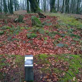 Dolmen de Napalatza