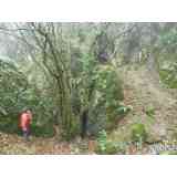 Click para ampliar. Pulsa en el nombre para ver la ficha. Cueva de Marizulo