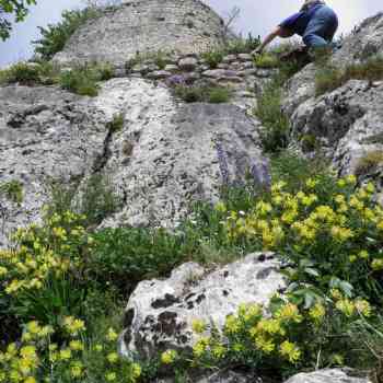 Click para ampliar. Pulsa en el nombre para ver la ficha. Castillo de Marutegi,ascensión.