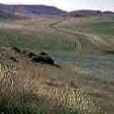 Click para ampliar. Yacimiento de Ambrona