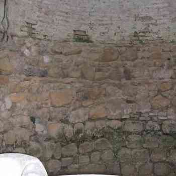 Click para ampliar. Pulsa en el nombre para ver la ficha. Jerez de la Frontera 8: Asta Regia