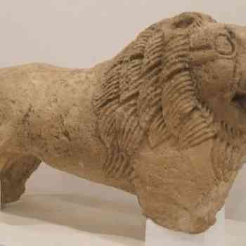 Click para ampliar. Pulsa en el nombre para ver la ficha. Espera 3: león iberoturdetano