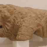 Click para ampliar. Espera 1: león iberoturdetano