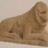 Click para ampliar. Espera 4: león iberoturdetano