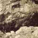 Algar: Cueva de la Dehesilla