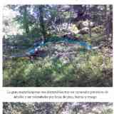 Click para ampliar. Necrópolis tumular de Gos Mort - Faro