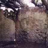 Dolmen de la ermita-Interior