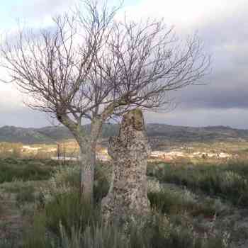 Click para ampliar. Pulsa en el nombre para ver la ficha. Estatua-menhir en Barrela