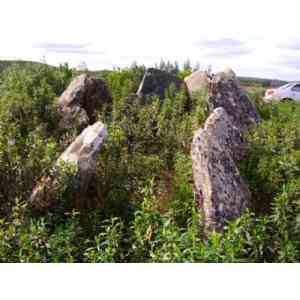 Click para ampliar. Pulsa en el nombre para ver la ficha. Anta Curral da Castelhana