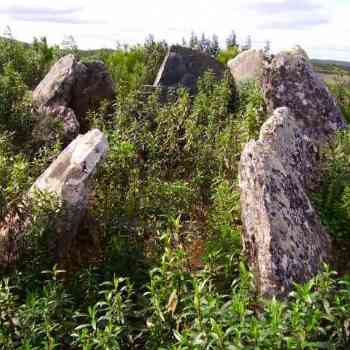 Click para ampliar. Pulsa en el nombre para ver la ficha. Anta Curral da Castelhana
