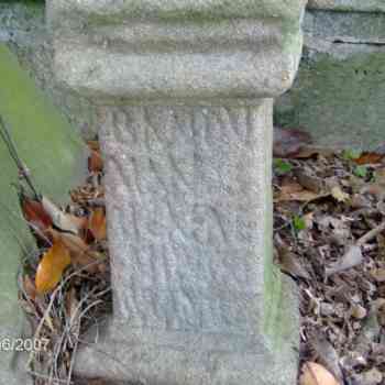 Click para ampliar. Pulsa en el nombre para ver la ficha. Ara de Eiras