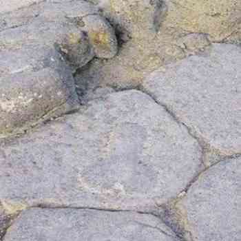 Click para ampliar. Pulsa en el nombre para ver la ficha. LUPANAR romano 2